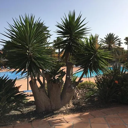 Oasis Bahia Appartement *